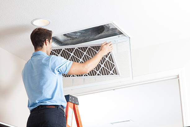 Best Air Filters and Purifiers in Rossmoor, NJ